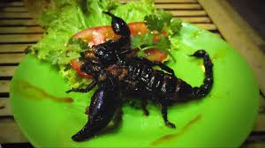scorpion.jpg