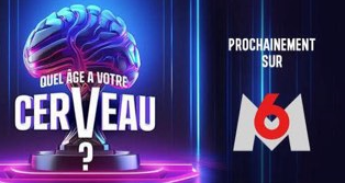 cerveau2